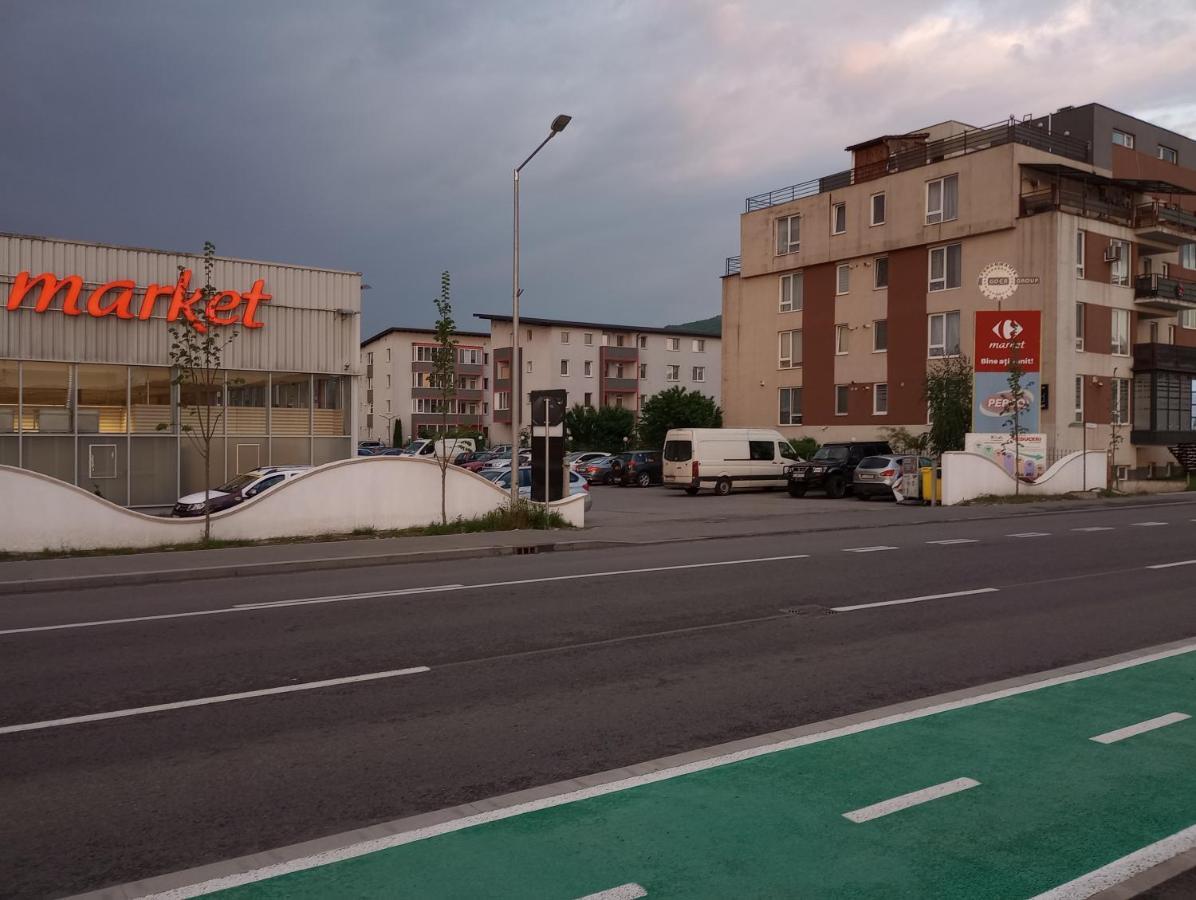 Apartament Daniela Apartment Floresti  Bagian luar foto